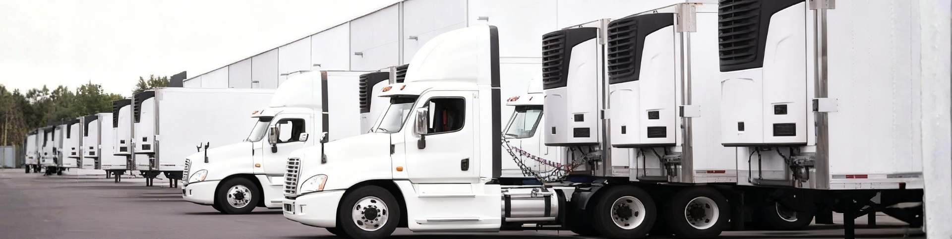 Frozen LTL, FTL, and Consolidation freight