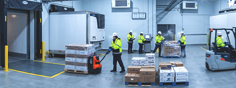 Strategic Framework for Consolidating Regional Cold Storage Providers